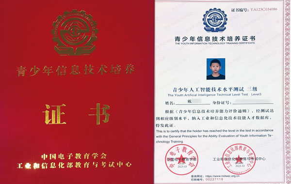AI青少年人工智能技术水平测试
